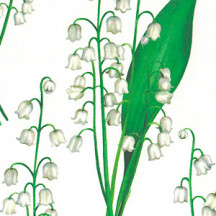 Lily of the Valley Floral Print Italian Paper ~ Tassotti